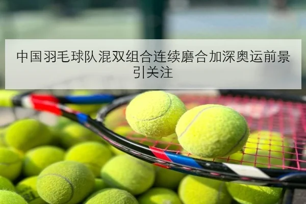 中国羽毛球队混双组合连续磨合加深奥运前景引关注